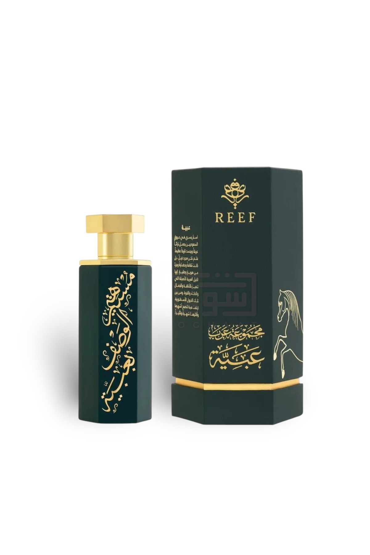 香水(男性用) Reef Obaiah Reef OBAIAH UNISEX PARFÜM 100 ML - Fiyatı, Yorumları