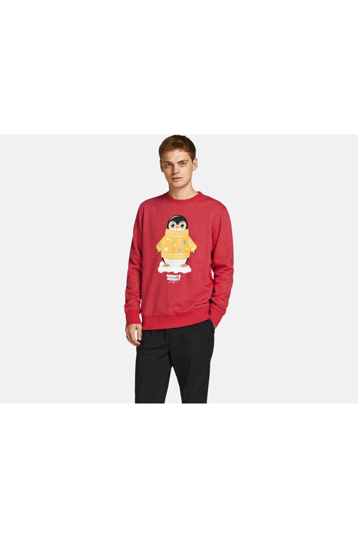 سویشرت مردانه راسته آستین بلند | جک اند جونز Jack & Jones 12198379-SAGE - تصویر 3