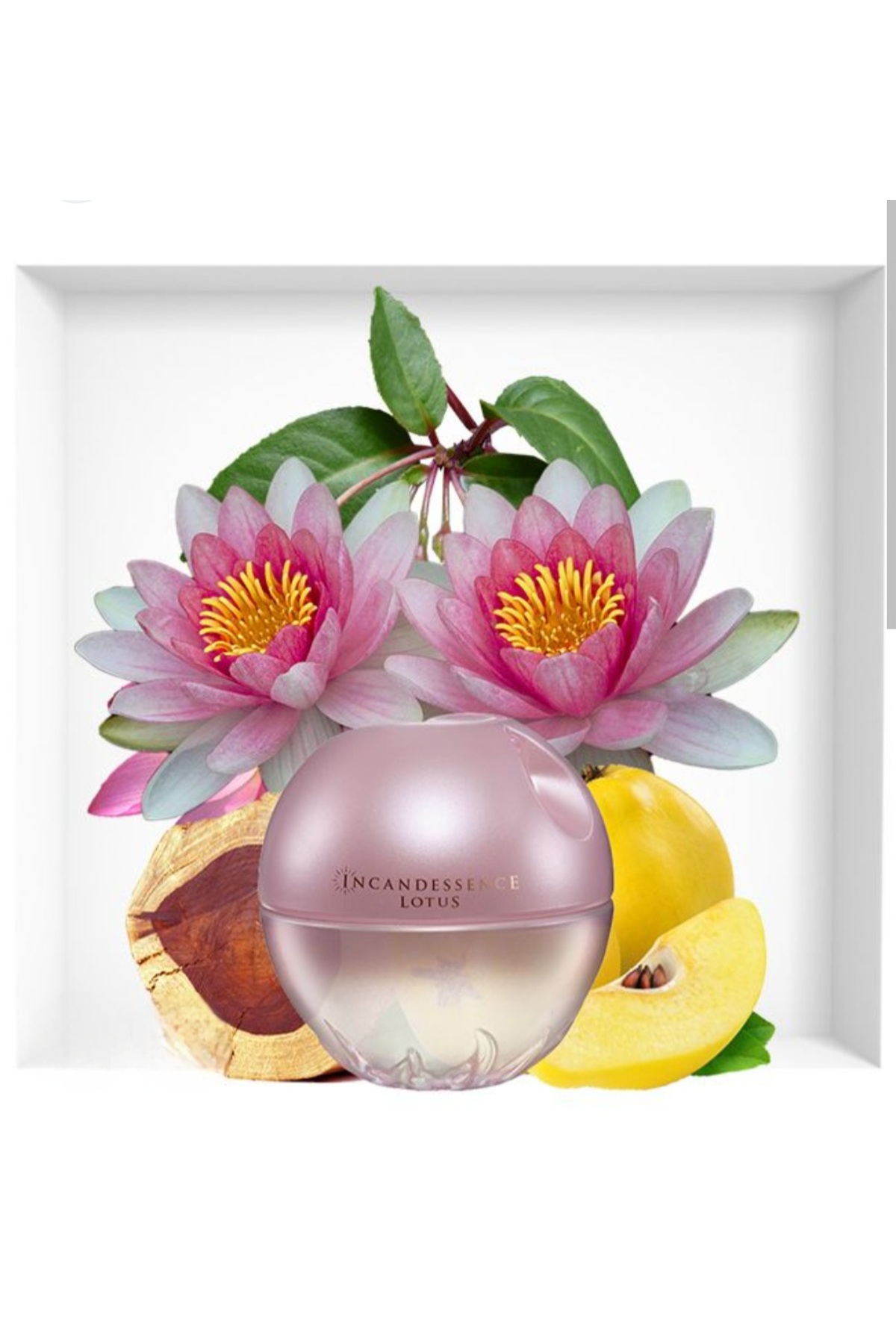 Incandescence Lotus Eau de Parfum