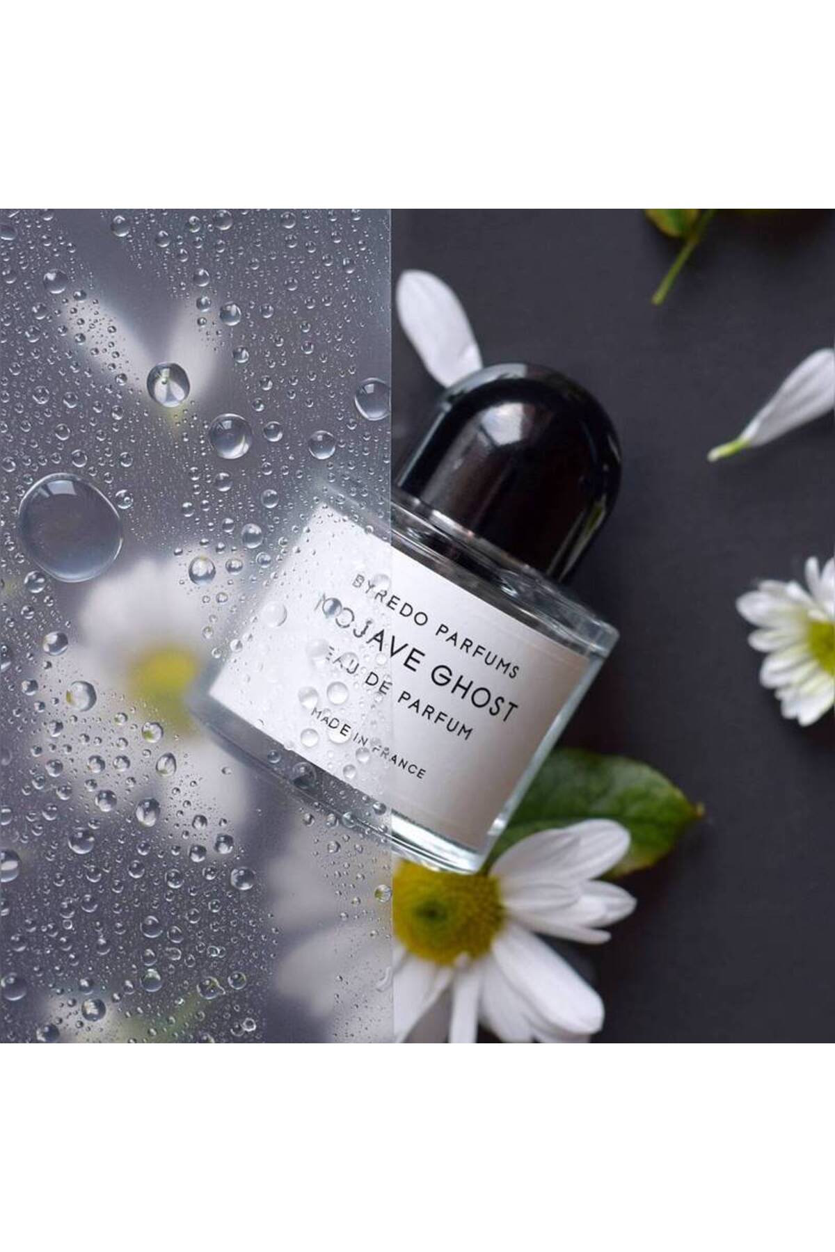 Ghost Mojave Ghost Edp 100 Ml Unisex Parfüm - Fiyatı, Yorumları