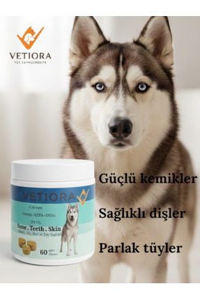 VETIORA Köpeklerde Diş, Kemik Sağlığına Özel Kalsiyum ve Tüy, Doku Sağlığı Öd...