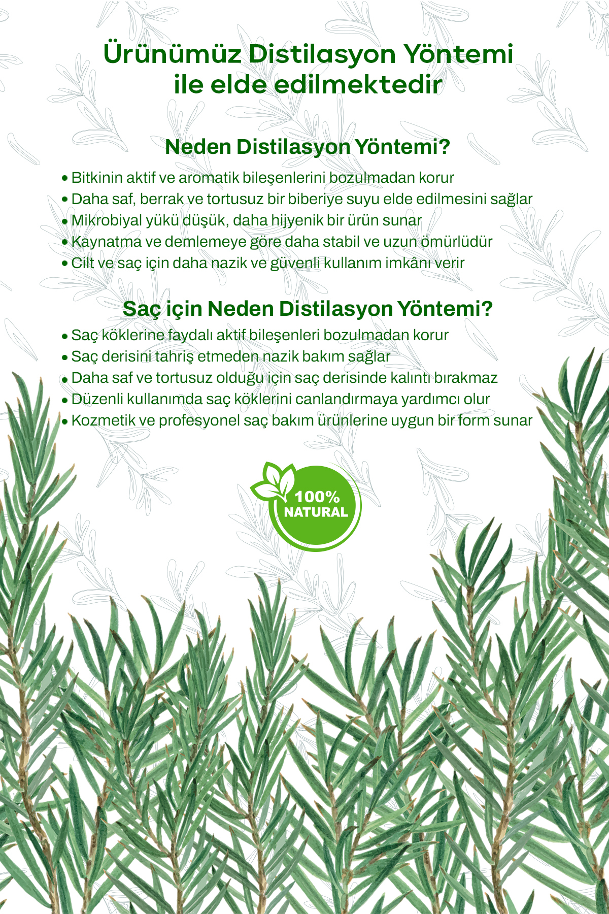 Biberiye Suyu Dökülme Karşıtı ve Saç Uzamasını Destekleyici Saç Toniği %100 Doğal ve Saf 100 ml — UNC-BS-100 — تصویر 2 از 4