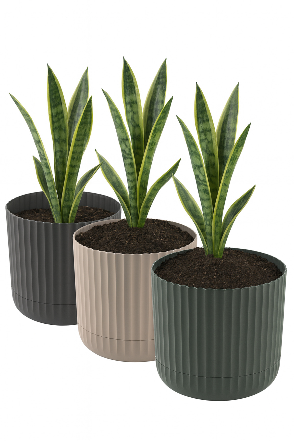 Zeraf Pot No:2-3 Pieces 3-Color 2.6 Liter Table and Table Top Pot