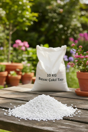 decoronay 10 KG Beyaz Çakıl Taşı – Vazo Saksı Bahçe Taşı, Doğal & Dekoratif