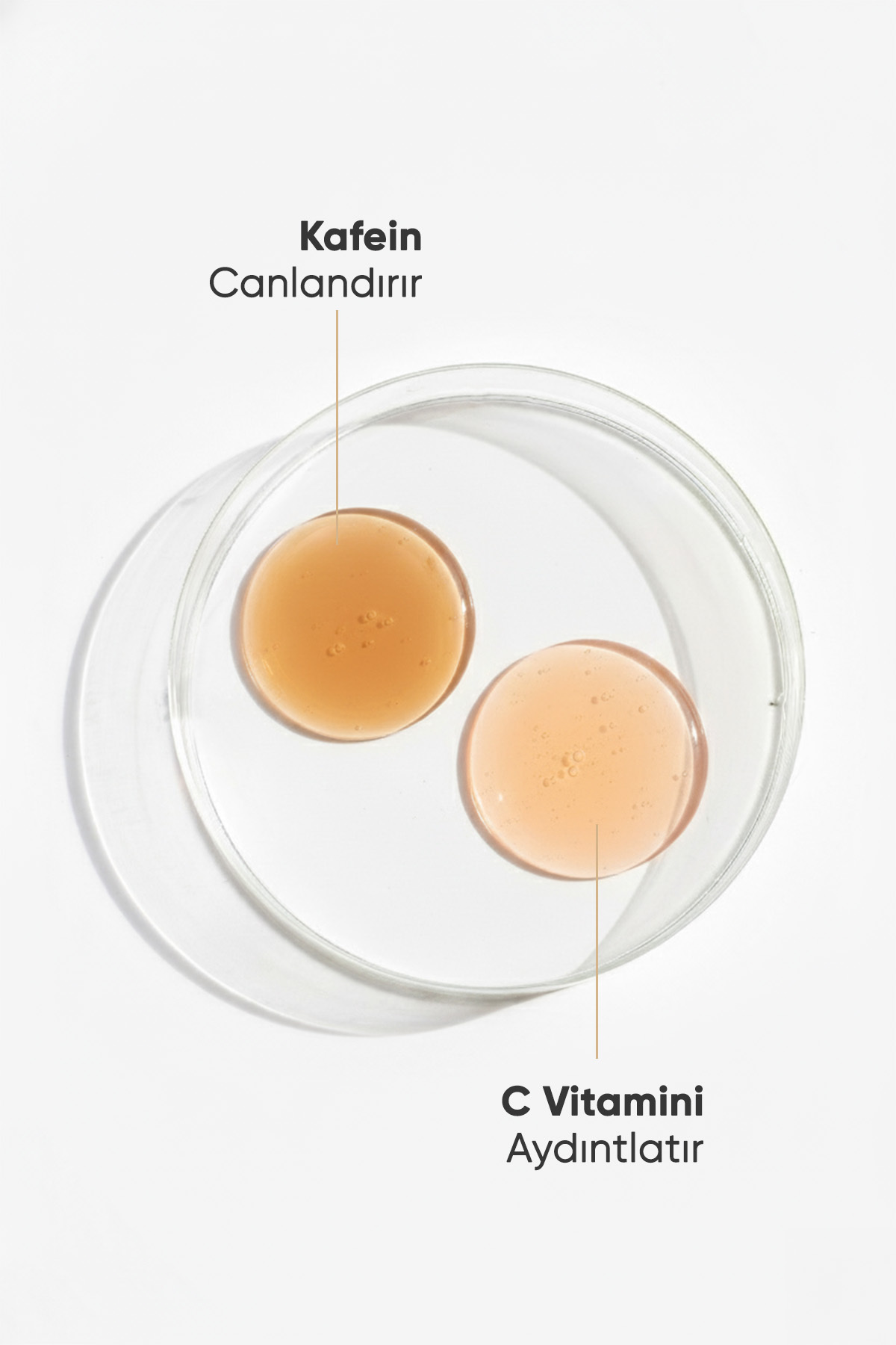 Göz Altı Torbalanma, Koyu Halkalara Karşı Aydınlatıcı Göz Çevresi Serum (Caffeine%5+C Vitamini%4) — 109 — تصویر 2 از 6