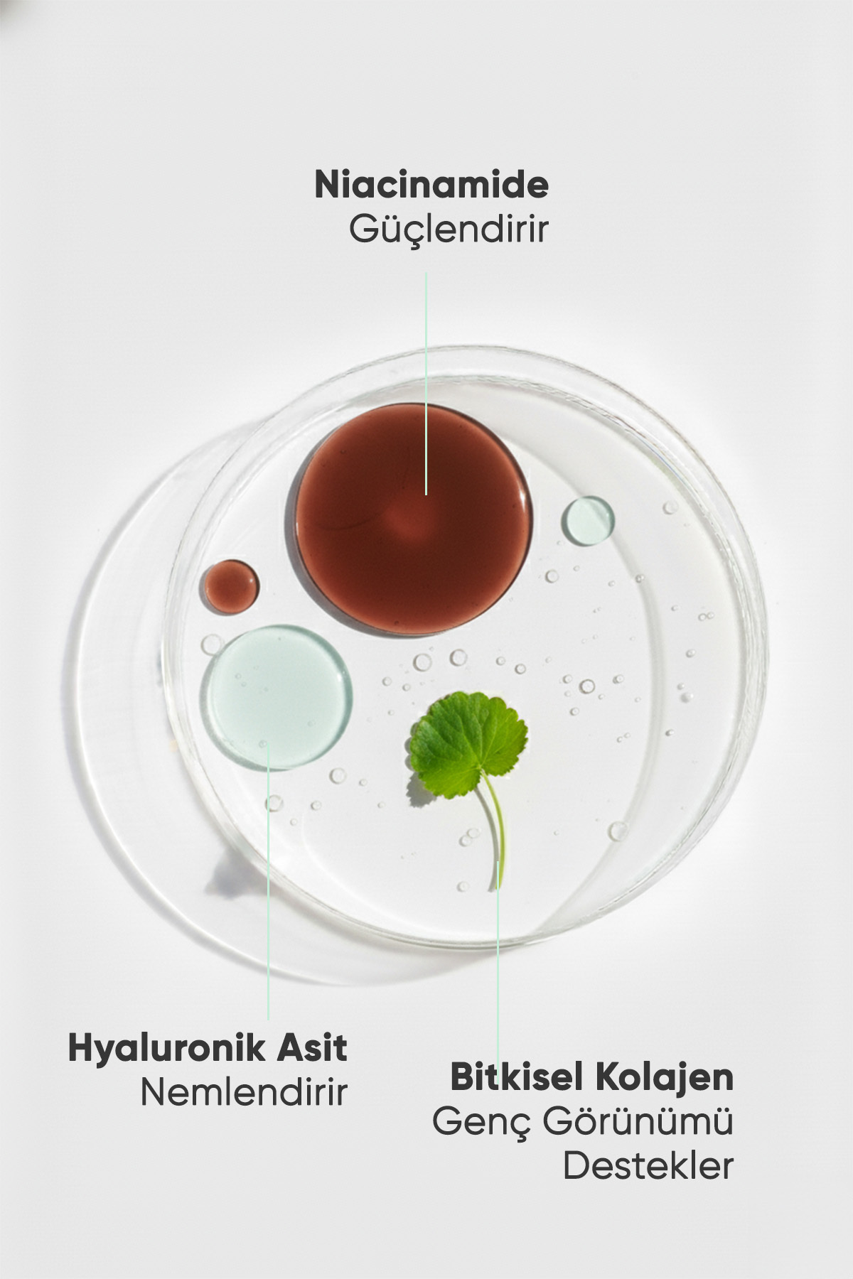 Gözenek Sıkılaştırıcı, Akne Karşıtı, Ton Eşitleyici Niacinamide Serum (Niacinamide 5%+ZincPca 1%) — 106 — تصویر 3 از 7