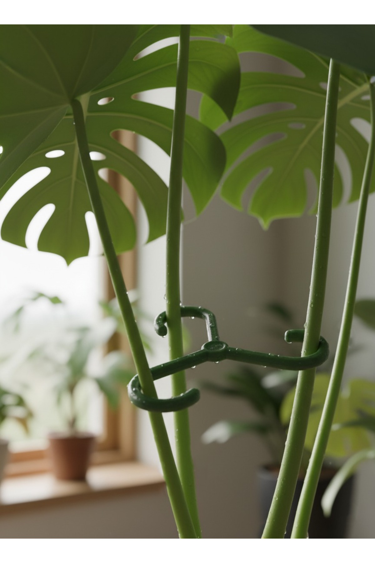 Bitki Gövde Destek ve Sabitleme Klipsi | Dikey Büyüme İçin Pratik & BİTKİ TUTUCU(4lüSet) - Görsel 1