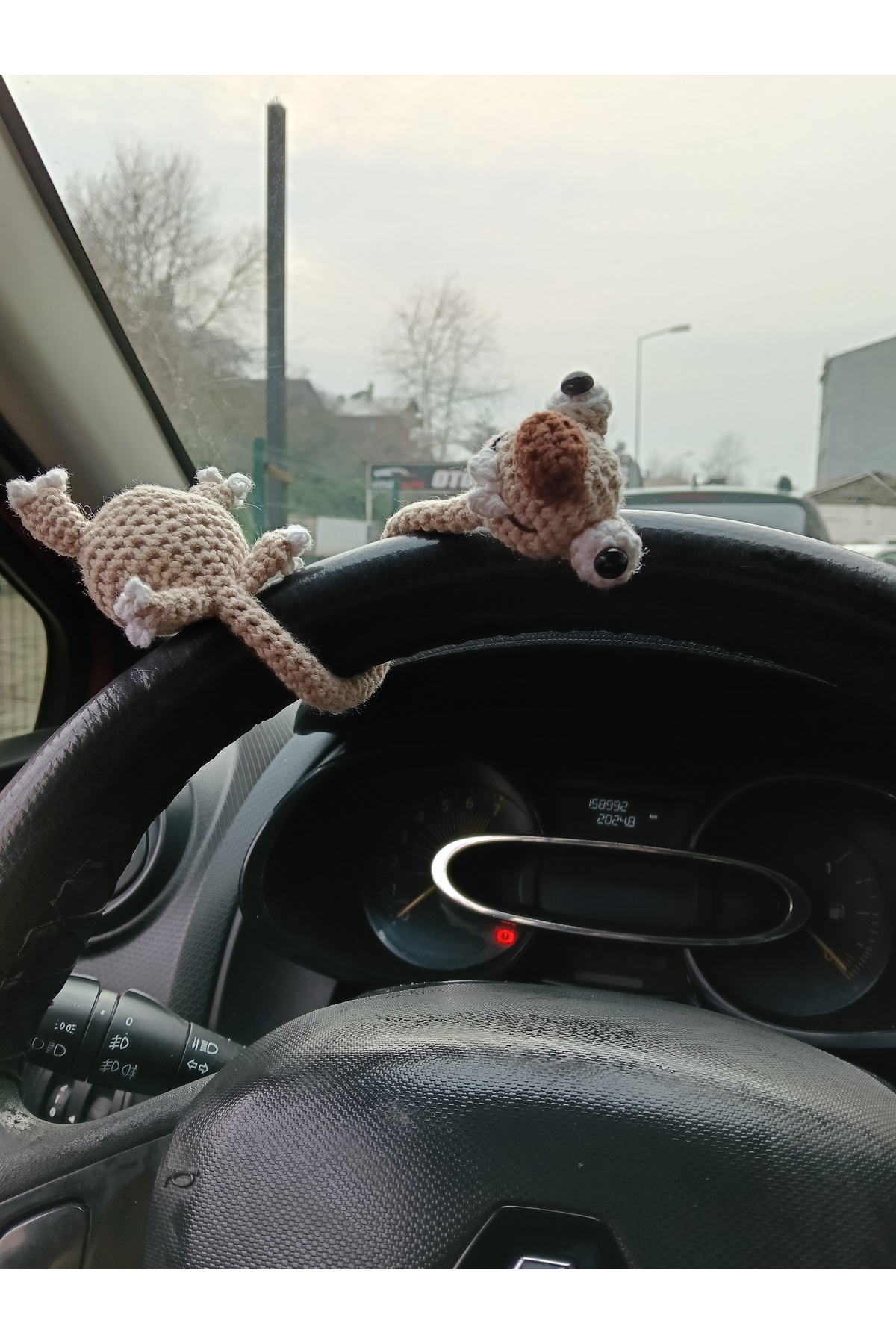 Küfran Buz devri Sid direksiyon süsü