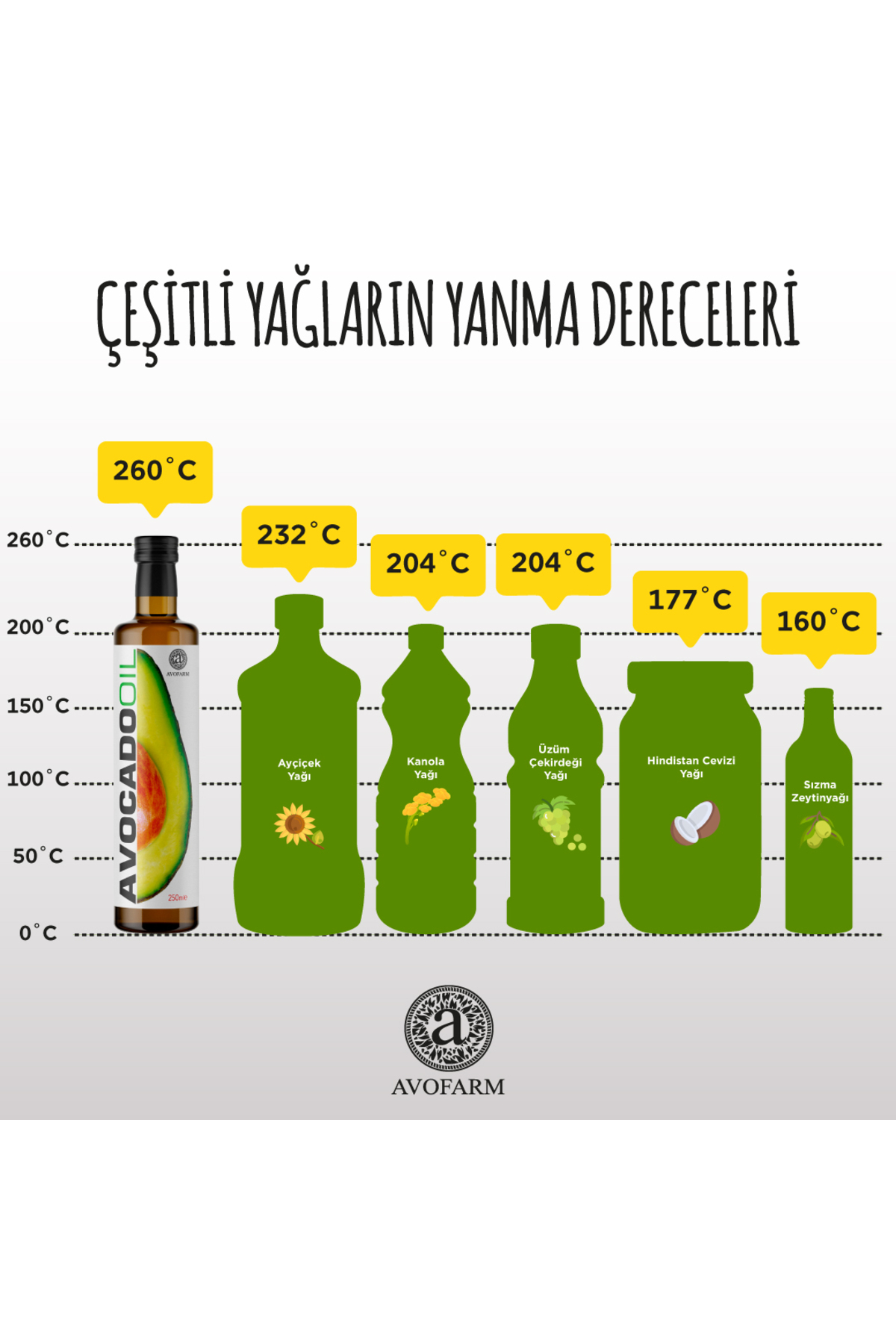 %100 Avokado Yağı 500ML (Soğuk Sıkım) — AVO500 — تصویر 5 از 6