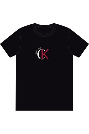 Calvin Klein Erkek 2 Tone Grafik Detaylı T-shirt