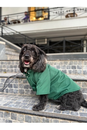 Lorico Önü Çıt Çıtlı Kapüşonlu Su Geçirmez Yağmurluk (KÜÇÜK VE BÜYÜK IRK KÖPE...