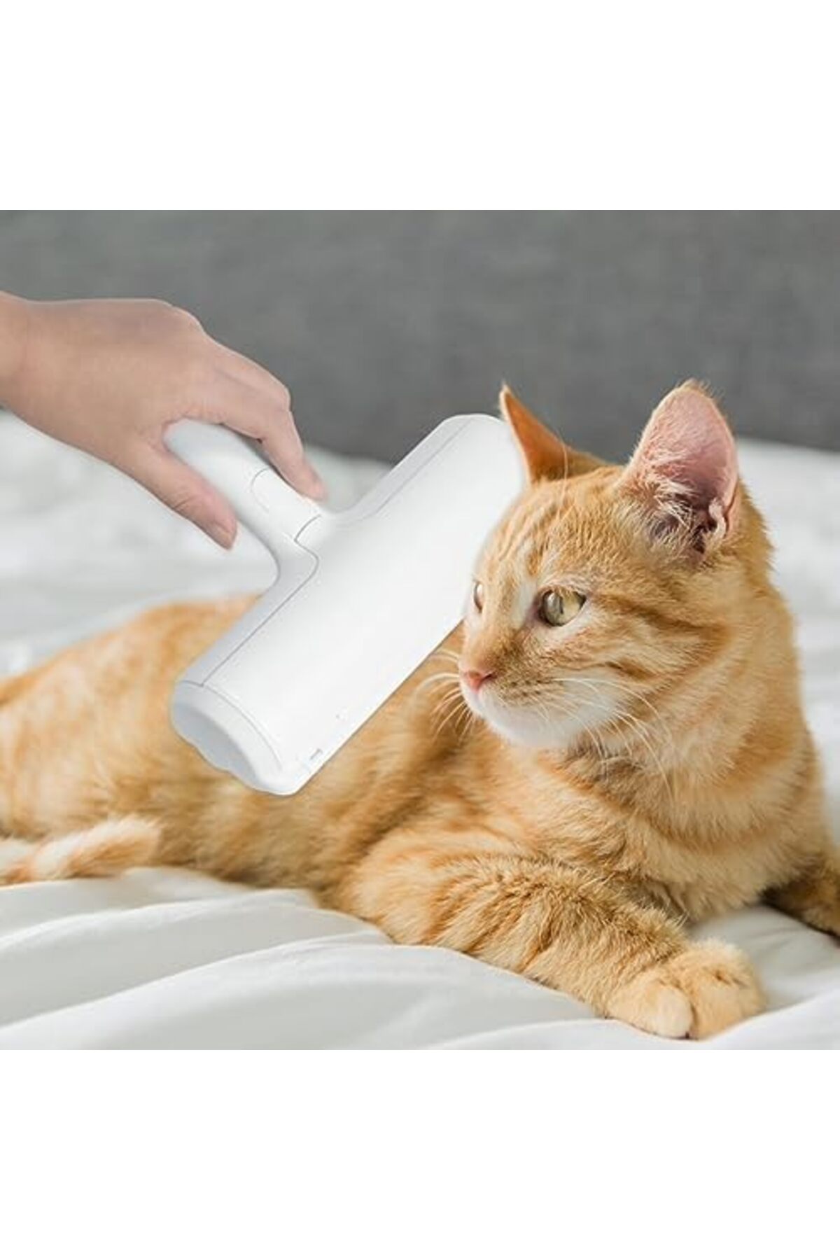 BRF NwoTeknoloji Baysa Hazneli Kedi Köpek Evcil Hayvan Tüy Temizleyici Kıl Toz Toplayıcı 1205362