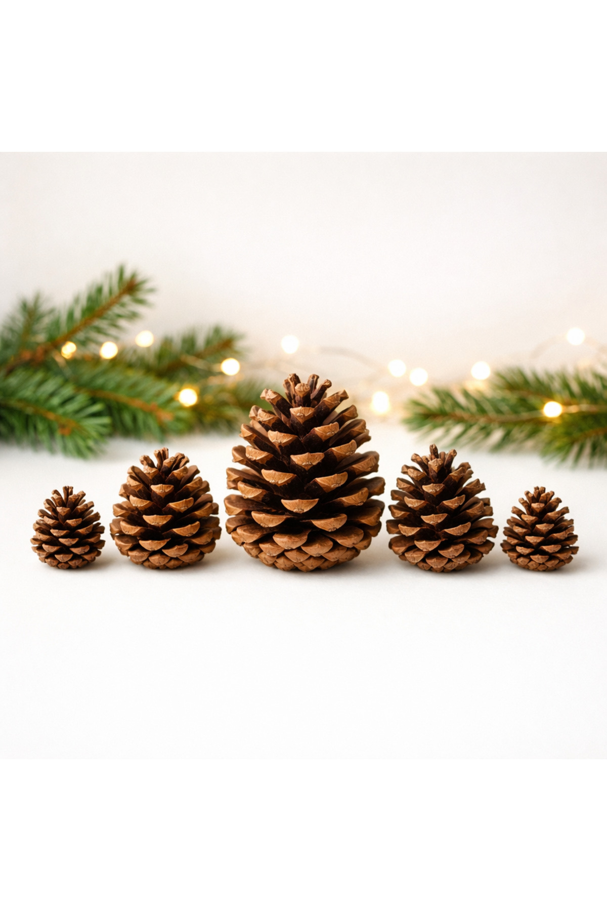 QozalaQ Yılbaşı özel kozalak 3 boy, 5 adet kozalak