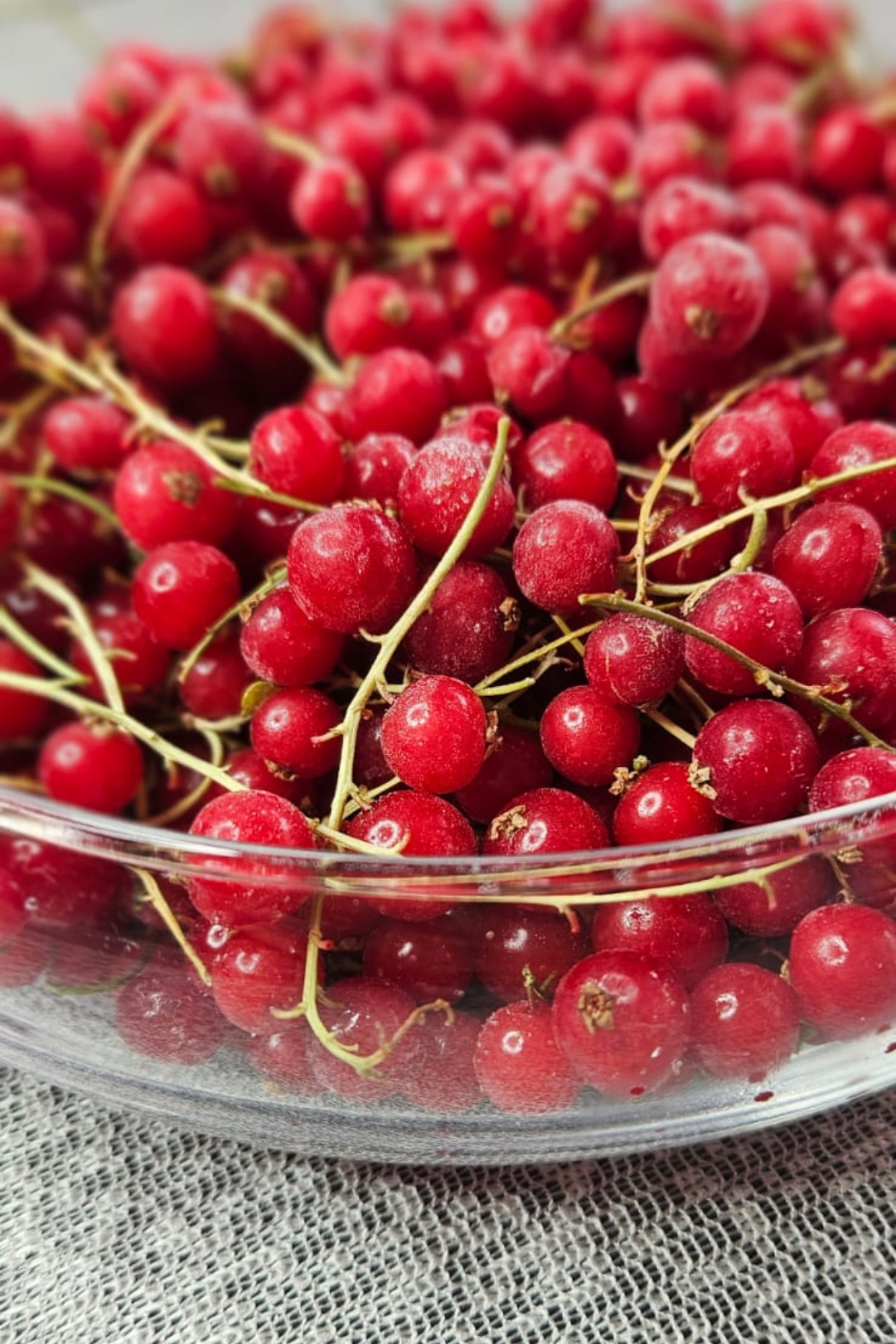 Mavi Orman Çiftliği Dondurulmuş Kırmızı Frenk Üzümü 1 KG