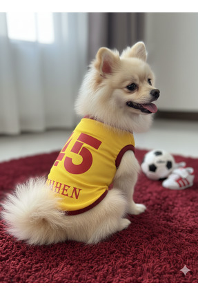 PuluPulu İSİM YAZILABİLEN Kedi ve Köpek Taraftar forması