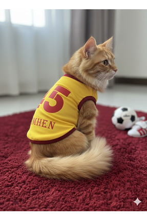 PuluPulu İSİM YAZILABİLEN Kedi ve Köpek Taraftar forması