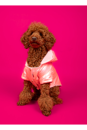 GOODBOIS Goodboi Pembe Parlak Köpek Mont