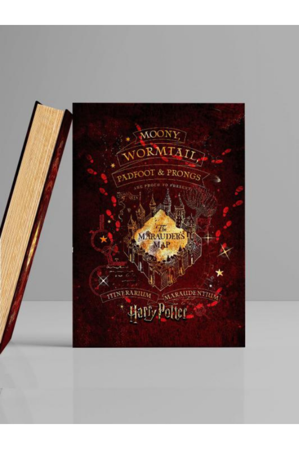 Harry Potter Licensed Book Look Decorative Box 16.5x24.5 cm