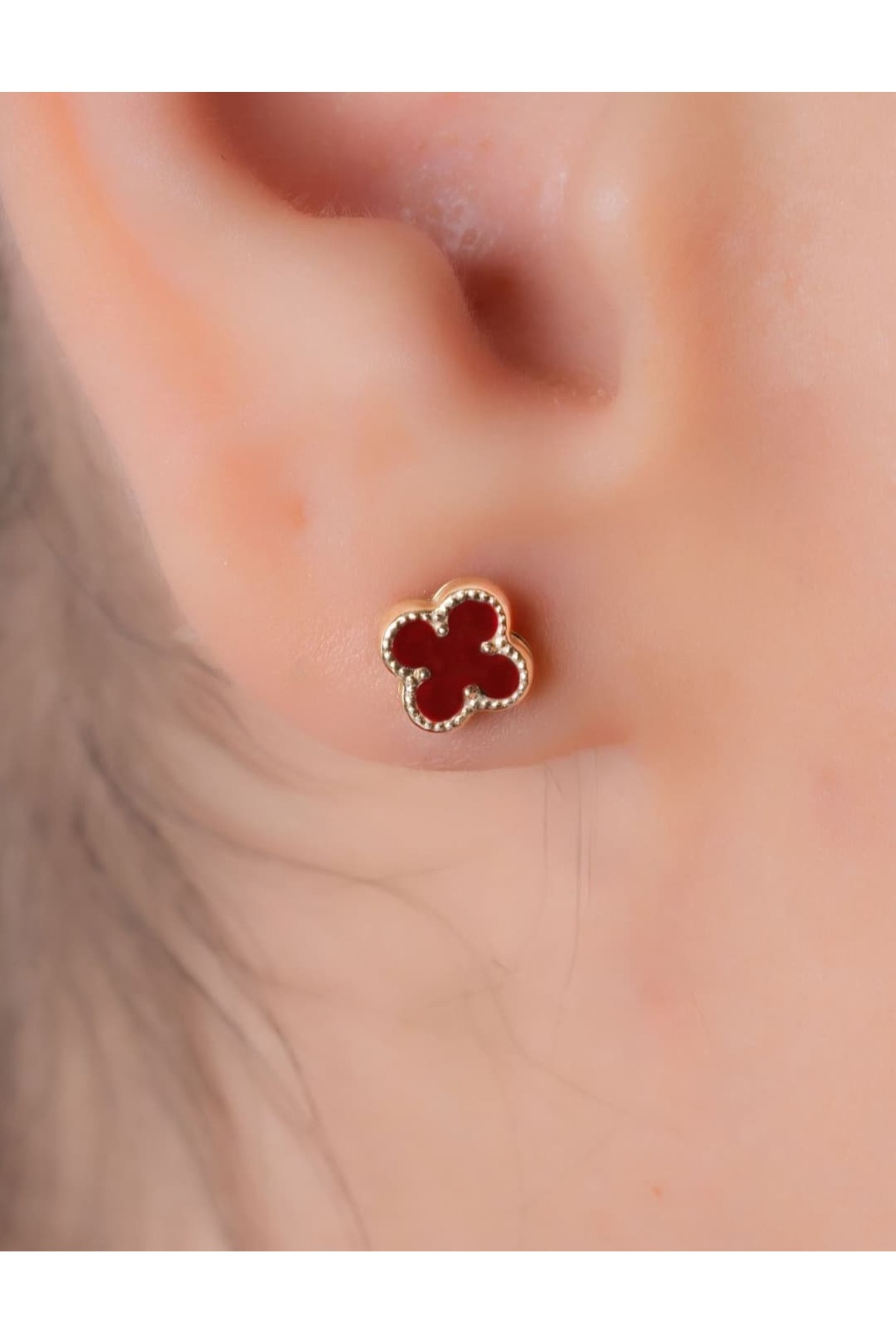 YCL JEWELLERY 14 Ayar Altın Bordo Yonca Küpe 6mm