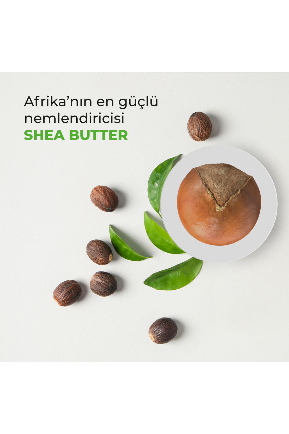 %100 Shea Yağı 100ML — SHEA100 — تصویر 2 از 5