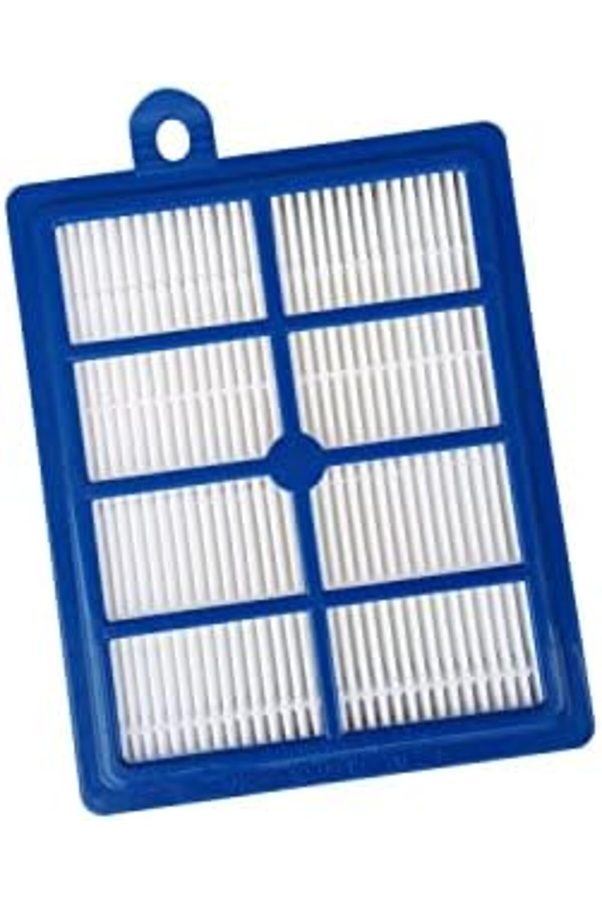 BRF Lendasell Popüler Filtre Silent Performer Zspcparket Elektrikli Süpürge ile Uyumlu 1165987