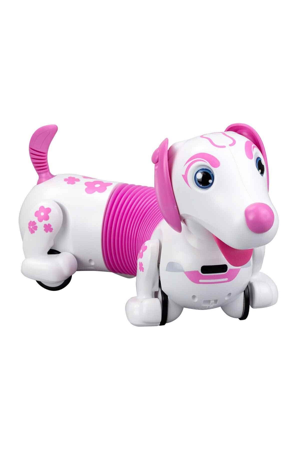 سیل ۸۸۷۴۰۰ مجموعه ربات داش D مخلوط