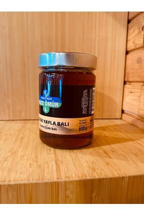 YEŞİL MAVİ RİZE ÖMÜR YÜKSEK YAYLA BALI 850 GR.