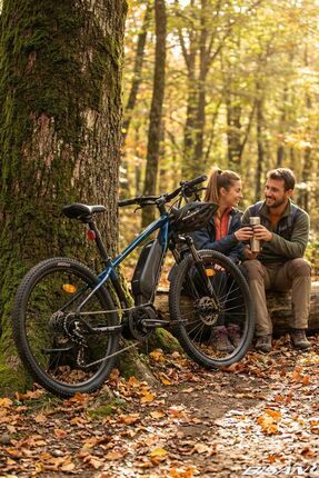 Bisan Arrow Alivio e-Bike 24 Jant Hidrolik Disk Fren Shimano Orta Motor 33 cm...