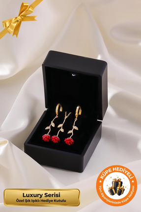 Lucente Jewellery Luxury Serisi Işıklı Hediye Kutulu 925 Ayar Altın Gümüş Kap...