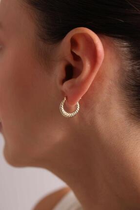 Tufanlar Kuyumculuk 14 Ayar Altın Midi Midye Küpe