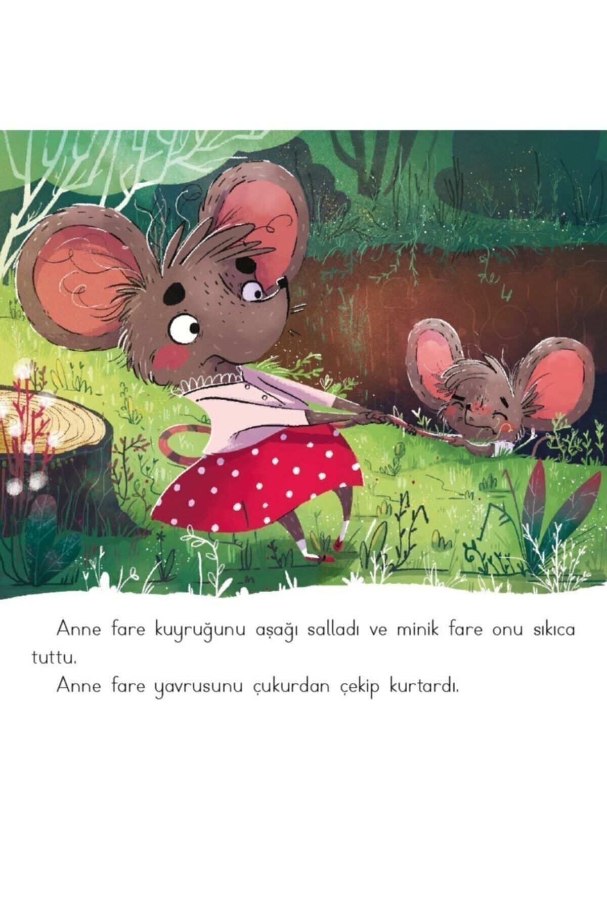 Dikkat Atölyesi Yayınları Hikayelerle Duygular Serisi 6 Eğitici Kitap Set (2-6 Yaş) fotoğrafı 5 (önizleme)