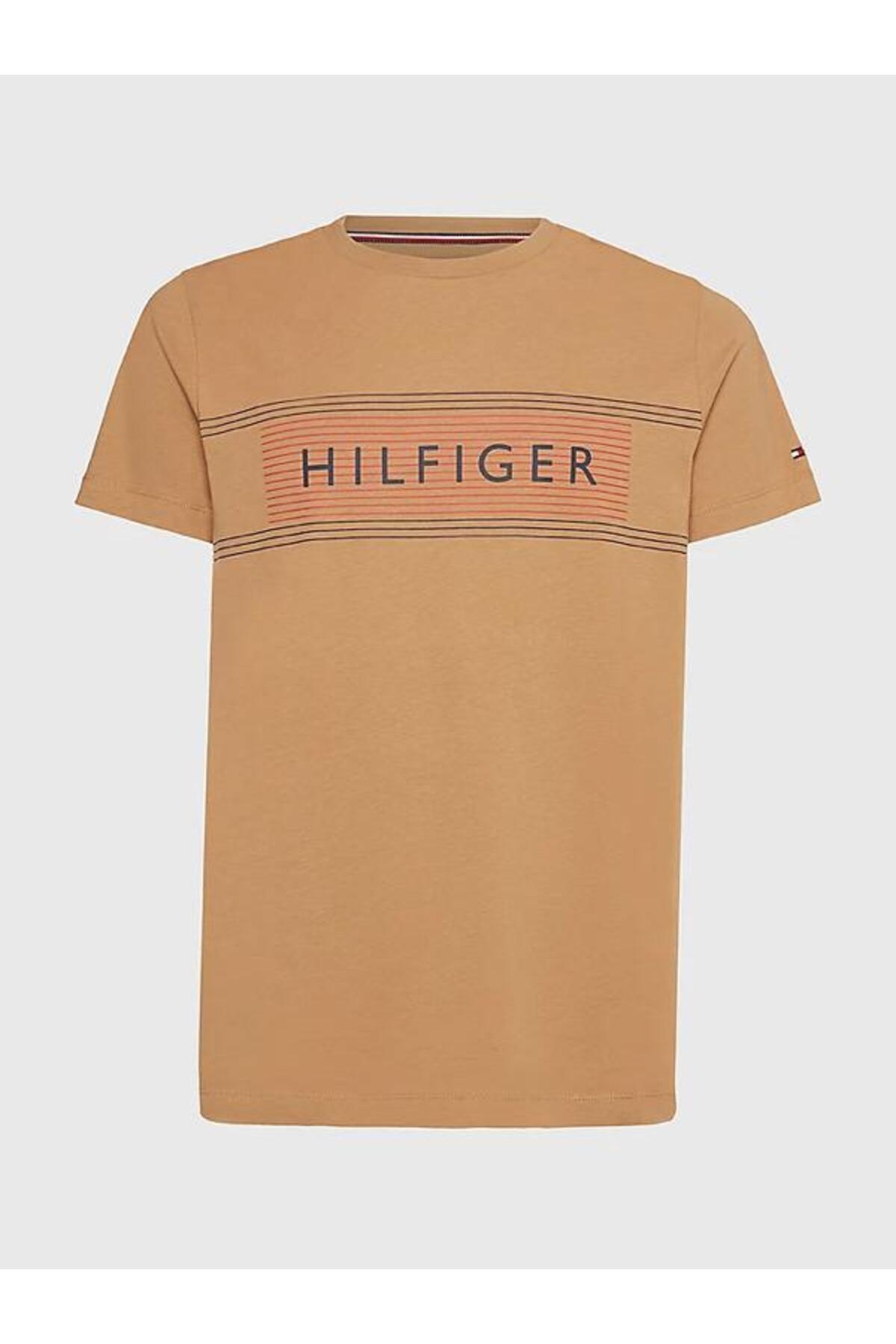 تیشرت مردانه گلدوزی شده آستین کوتاه | تامی هیلفیگر Tommy Hilfiger MW0MW30035-777 - تصویر 4