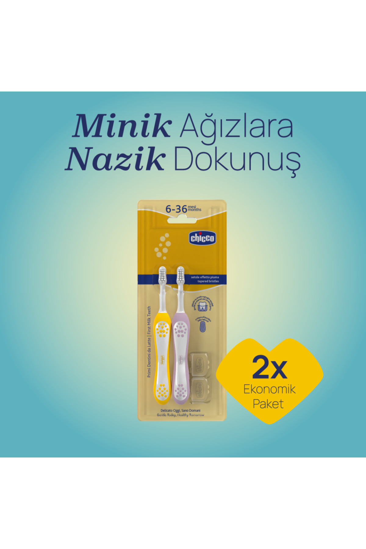 Chicco 2'Lİ DİŞ FIRÇASI 6-36 AY LILAC MUSTARD