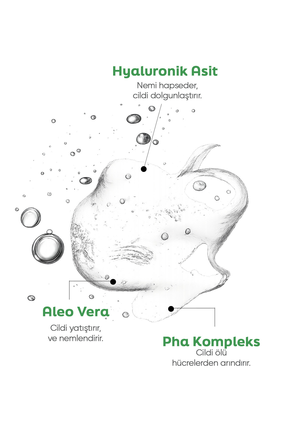Nazik & Nemlendirici Yüz Temizleme Jeli – Hyaluronik Asit, Aloe Vera ve PHA Kompleksi İçerikli 200 m — TYCKDQ1H7N172468447512245 — تصویر 4 از 6