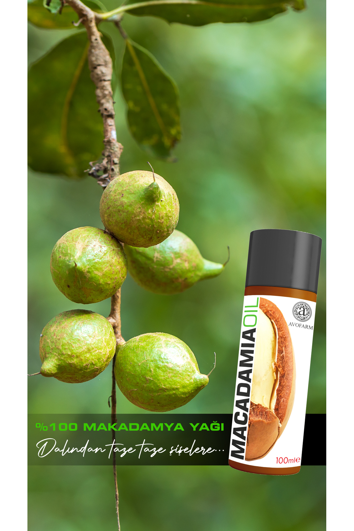 روغن ماکادمیا ۱۰۰٪ ۱۰۰ میلی‌لیتر (پرس سرد) — MKY100ML — تصویر 7 از 7