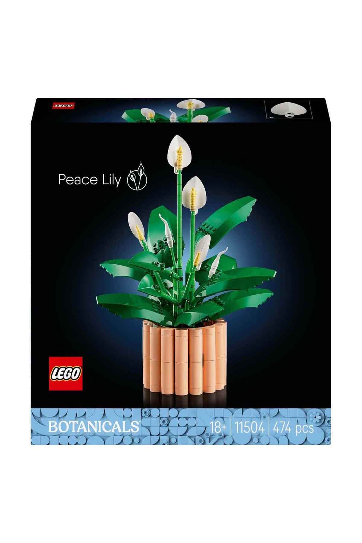 گیاهان پیس فلور ۱۱۵۰۴