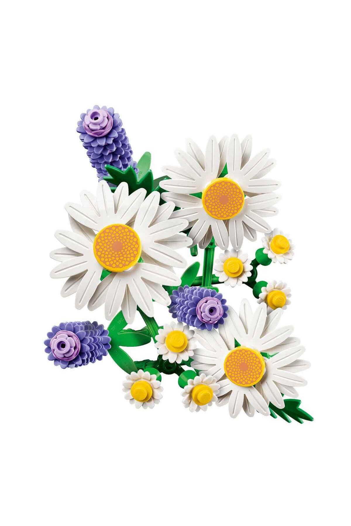 گیاه‌شناسی دِیزِی‌ها ۱۱۵۰۸