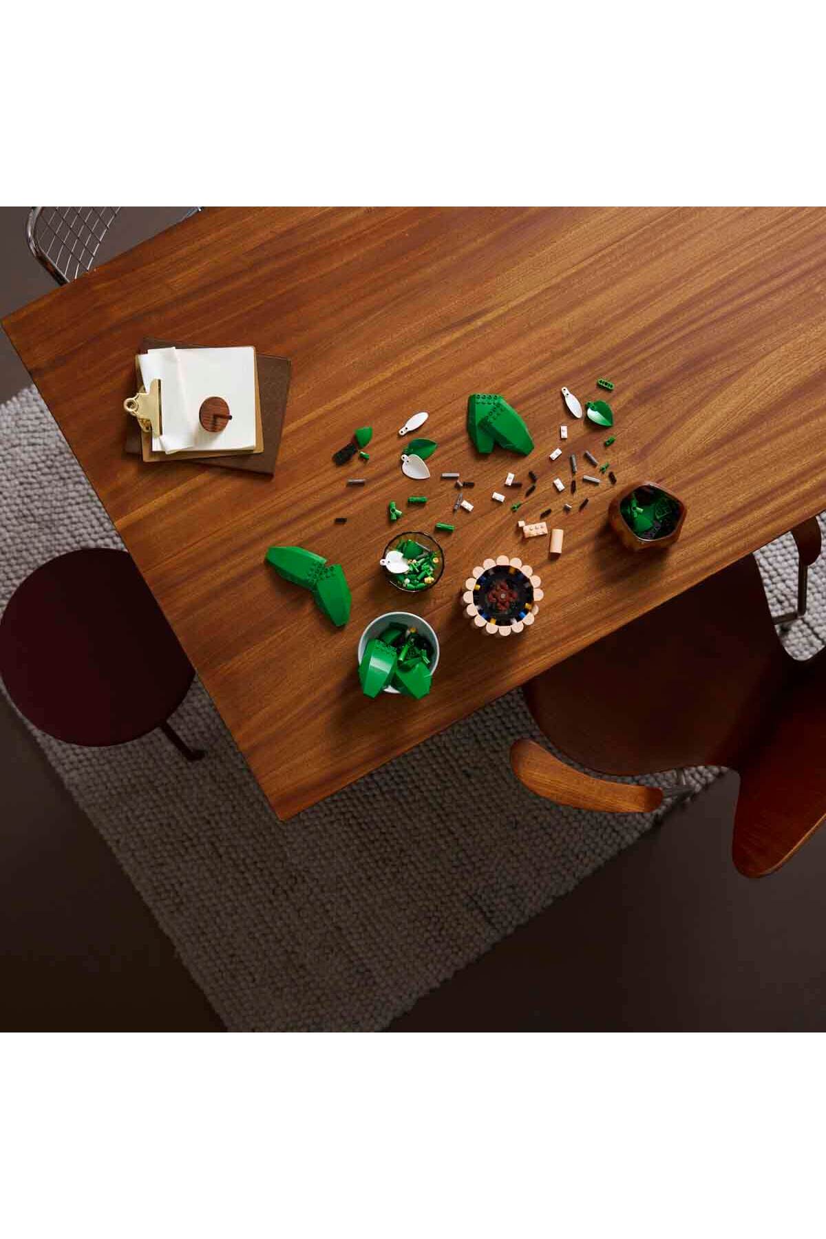 گیاهان پیس فلور ۱۱۵۰۴