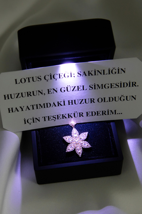 SARIASLAN Işıklı Kutuda Komple Gümüş Lotus Çiçeği Gümüş Kolye Pembe Altın Rengi