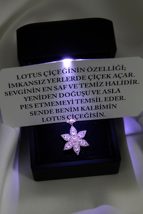 SARIASLAN Işıklı Kutuda Lotus Çiçeği Gümüş Kolye Özel Kartlı Pembe Altın Rengi