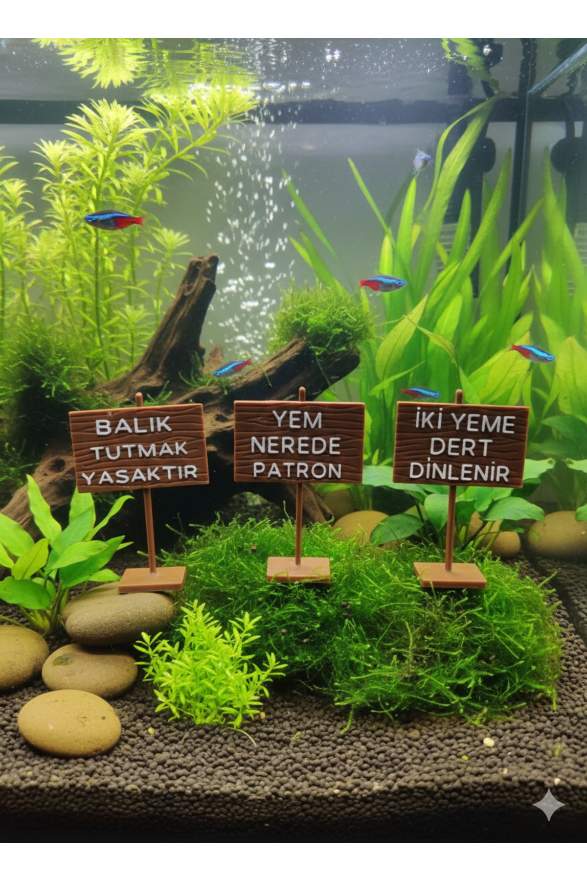 Aquarium Sign Decor 3pcs 7x5 cm