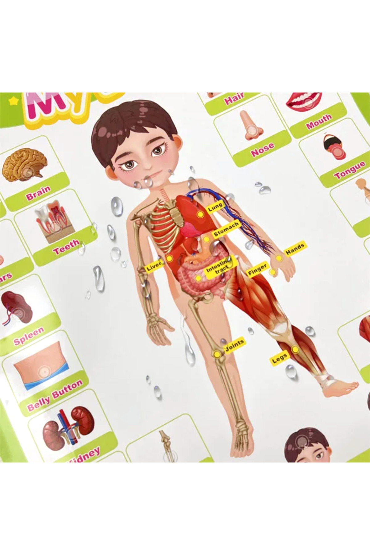 TALOO sesli kitaplar My Body & Expressions İngilizce Konuşan Sesli Poster fotoğrafı 2 (önizleme)