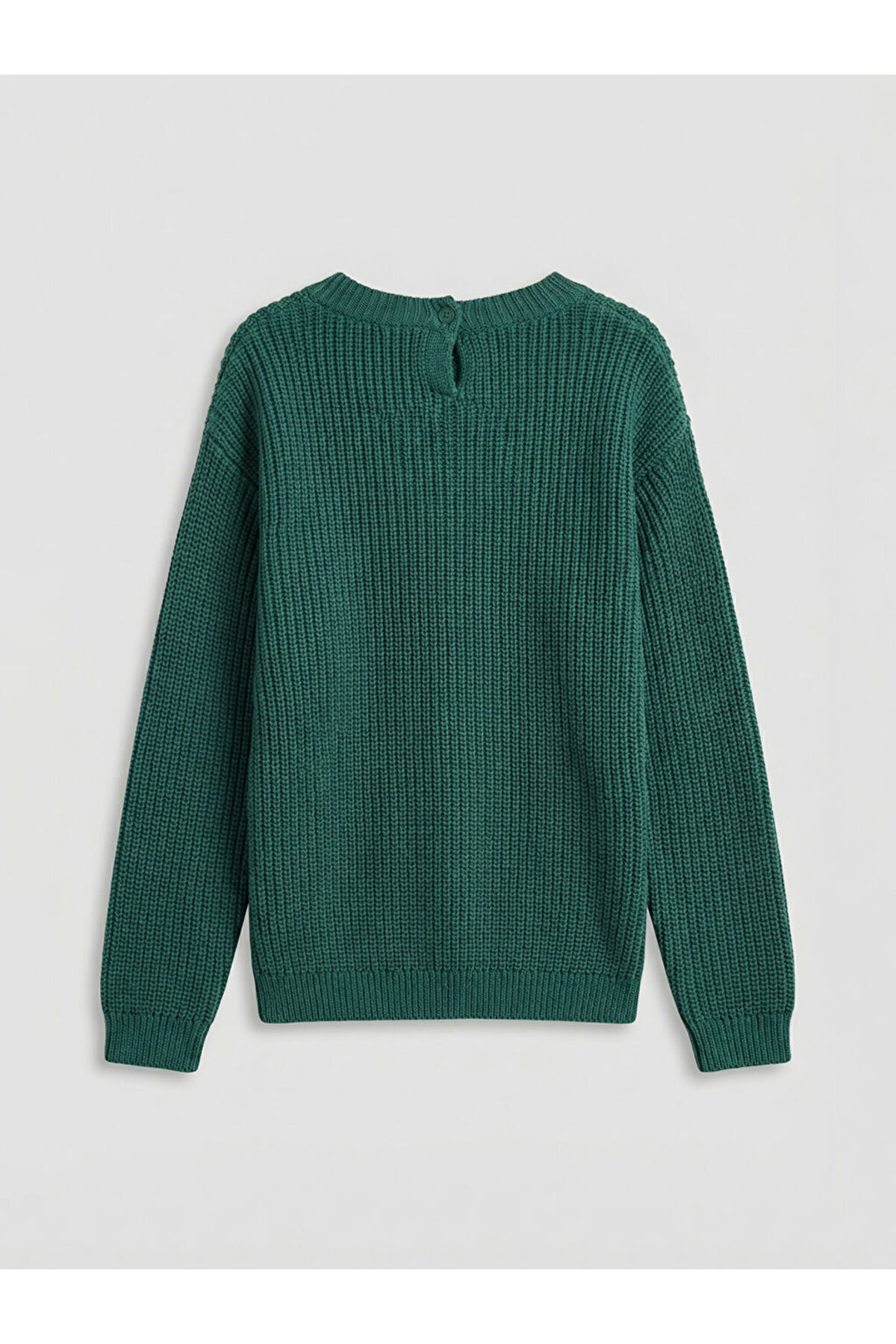 LC Waikiki Yeşil Bisiklet Yaka Nakışlı Kız Çocuk Triko Kazak fotoğrafı 2 (önizleme)