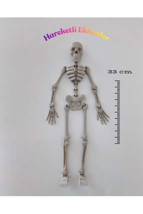 3DcraftTr Kemik Adam: Hareketli Eklemli İskelet Figür - 33 cm