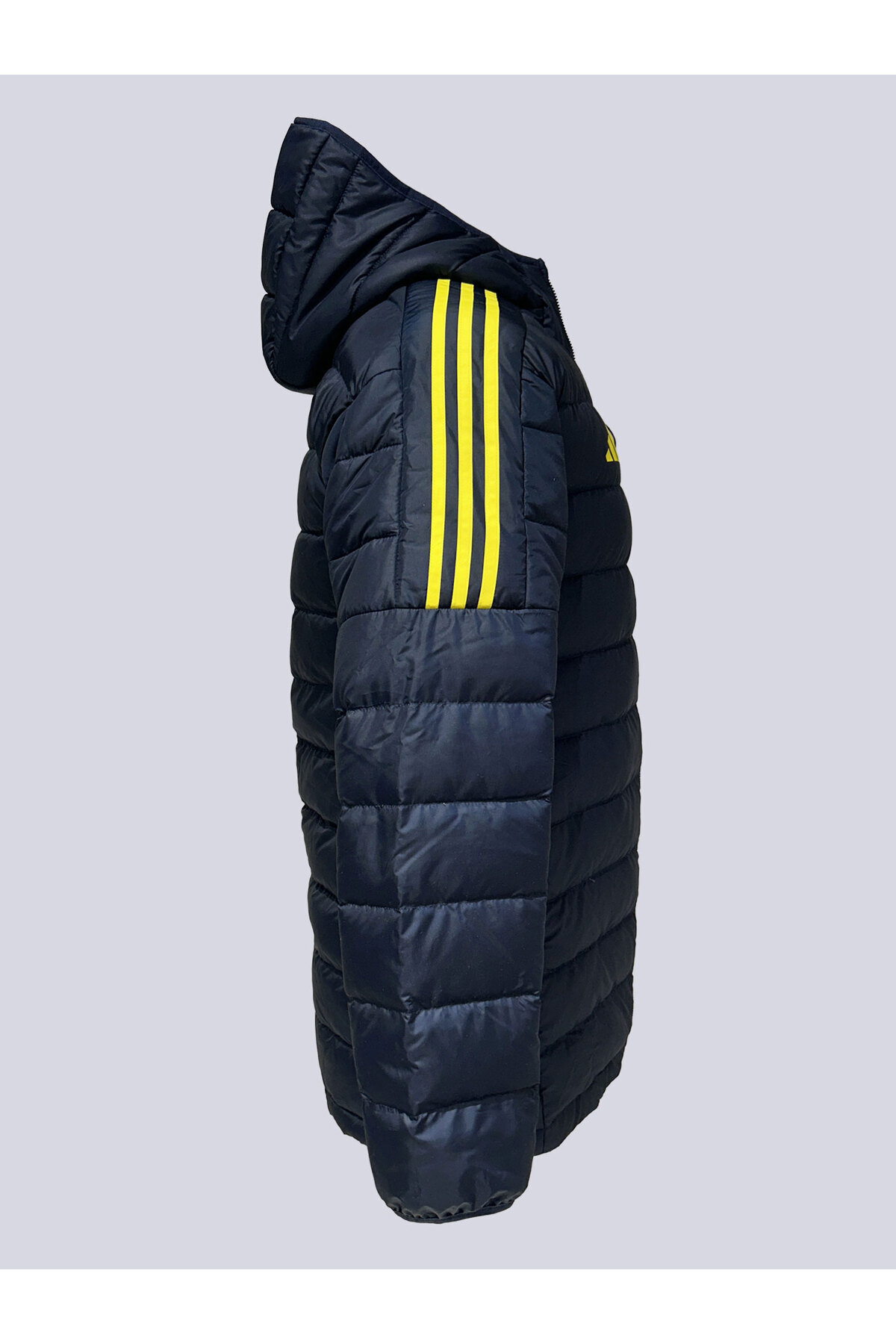 Fenerbahçe 2025/26 A TAKIM KABAN görsel 3