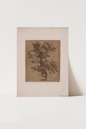 HOME DEKORİSTA Vintage Manzara Ağaç Poster, Galeri Duvarı, Sanatsal Baskı, Çi...