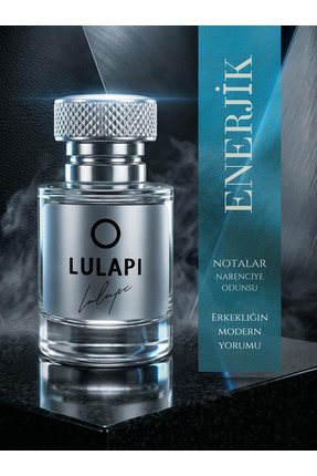 LULAPİ PERFUME ATELİER M209 Invik Erkek Parfüm 50 ML