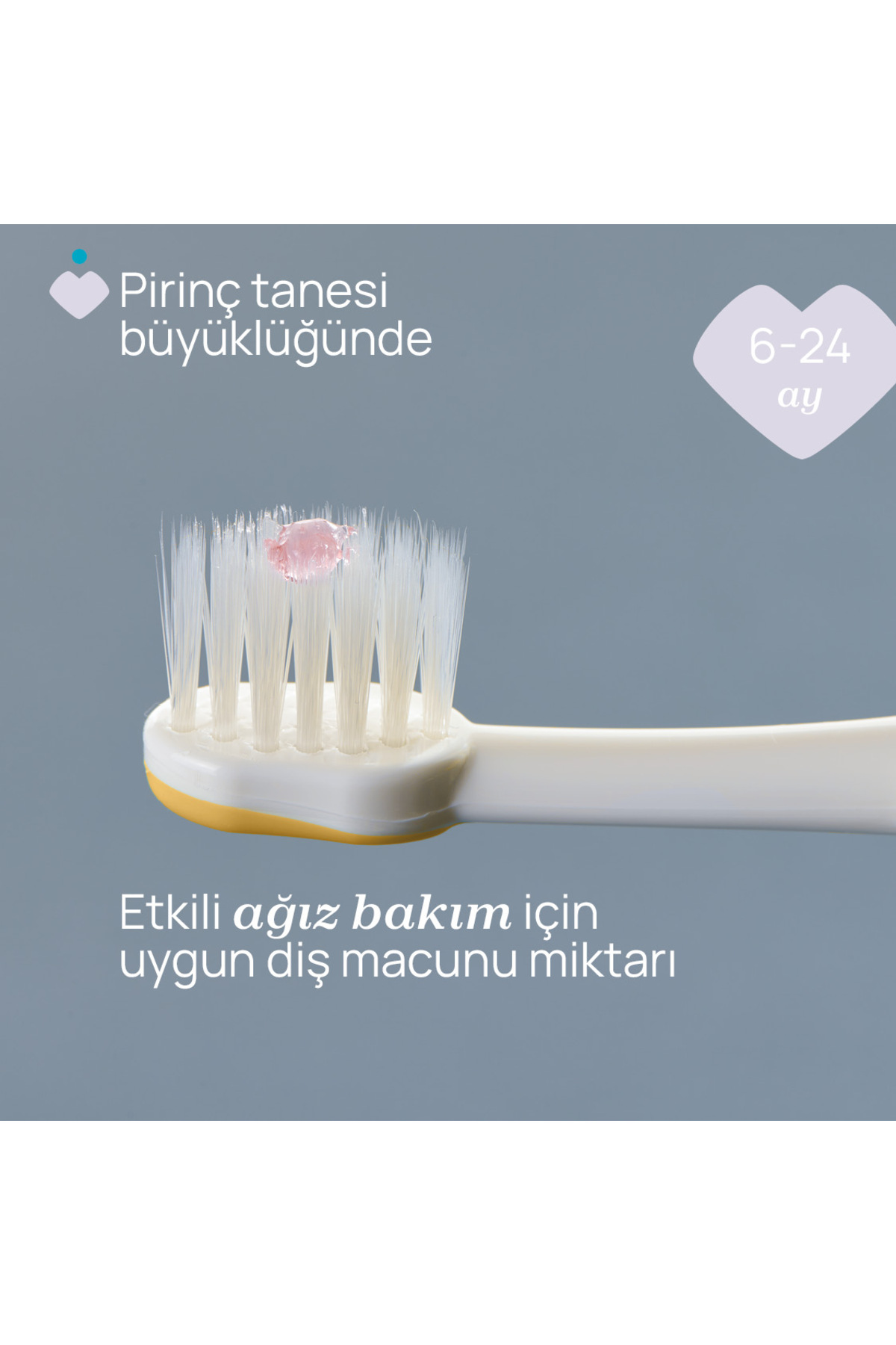 Chicco 2'Lİ DİŞ FIRÇASI 6-36 AY LILAC MUSTARD fotoğrafı 3 (önizleme)