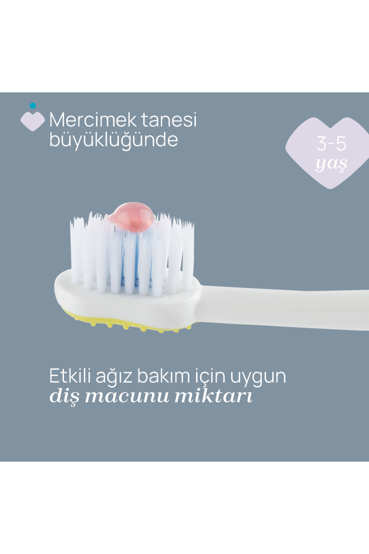 Chicco 2'Lİ DİŞ FIRÇASI 3-6 YAŞ TIGER-PANDA fotoğrafı 4 (önizleme)