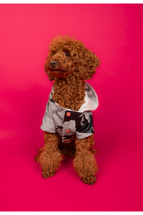 GOODBOIS Goodboi Kamuflaj Reflektörlü Köpek Montu